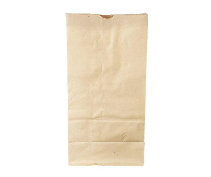 Paper Bags Brown #12
